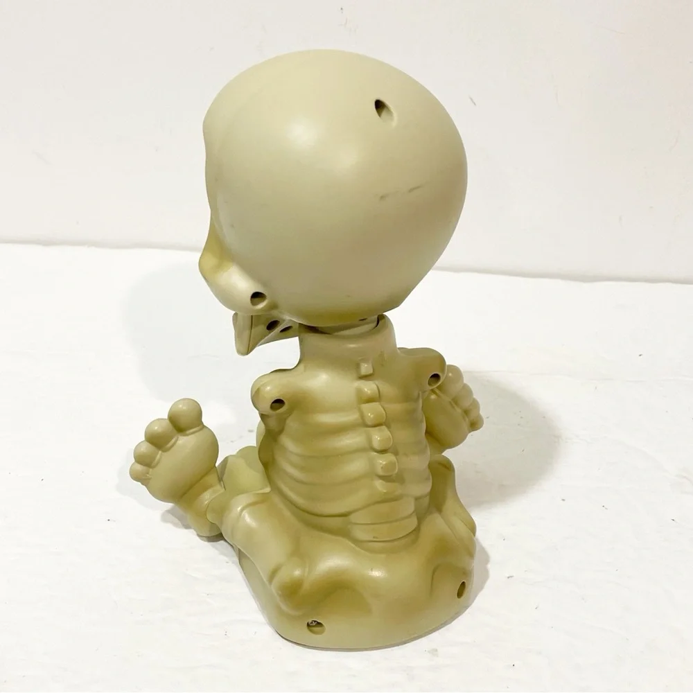 N/A skeleton halloween